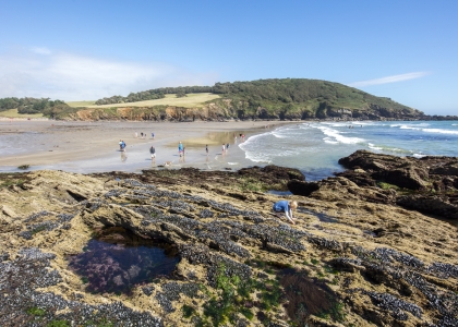 Our guide to rock pooling